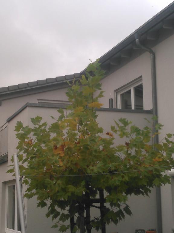 Ferienwohnung Zum Kletterturm Kaufbeuren Exteriör bild